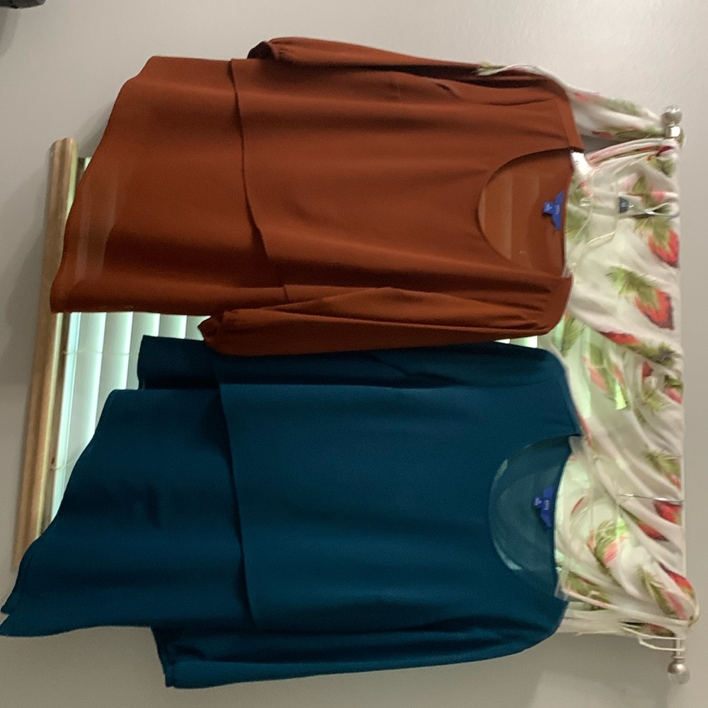 3/4 sleeve, scoop neck tops.  Brown & Teal.Very comfortable.